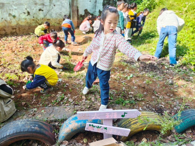 苏仙区第二十五幼儿园师生风采