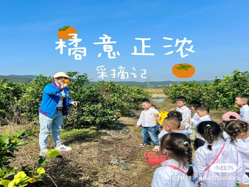 郴州海亮小太阳幼儿园师生风采